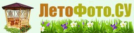 Деревянные Беседки, Бытовки, Хозблоки, Веранды Для Дачи 'ЛетоФото'